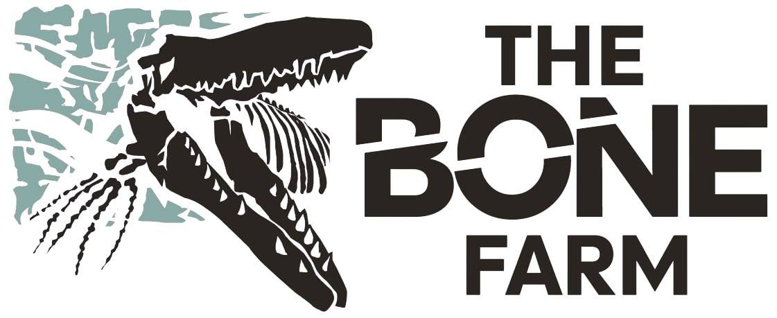 The Bone Farm