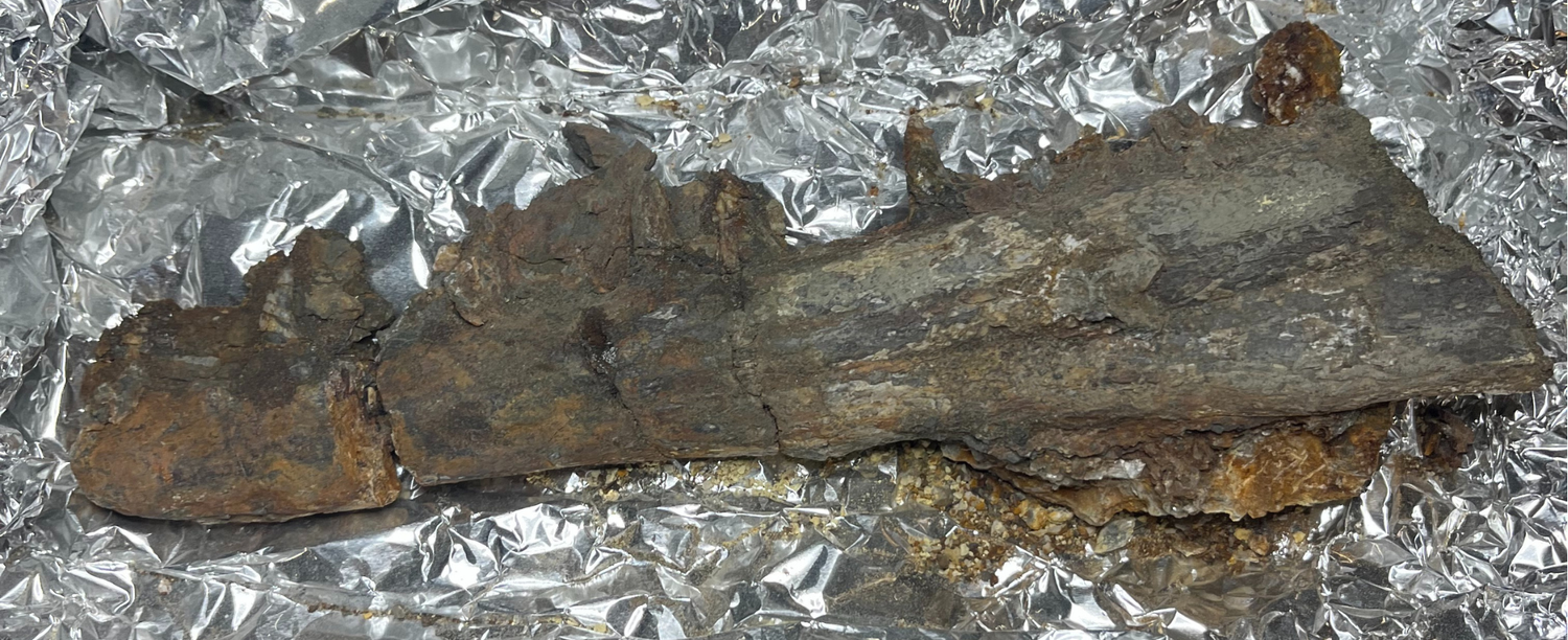 image comparison before