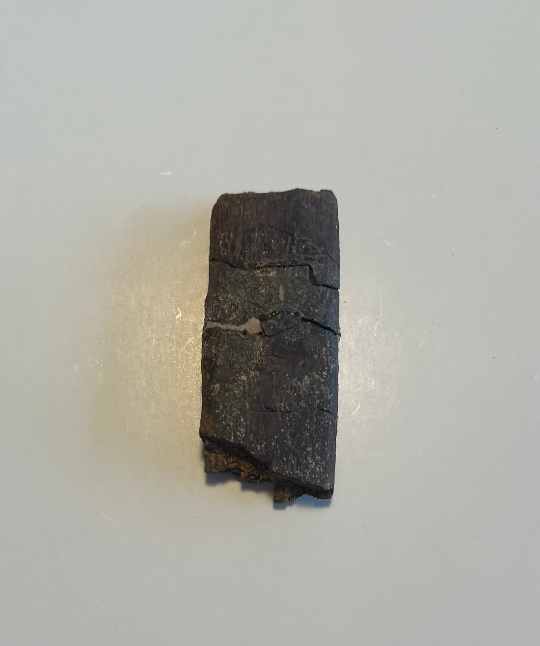 2.75" Hell Creek Fm Dinosaur Rib Fragment