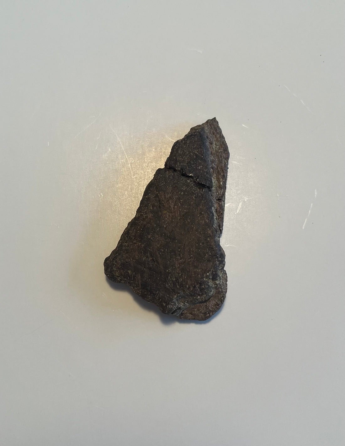 3.1" Hell Creek Fm Dinosaur Bone Fragment