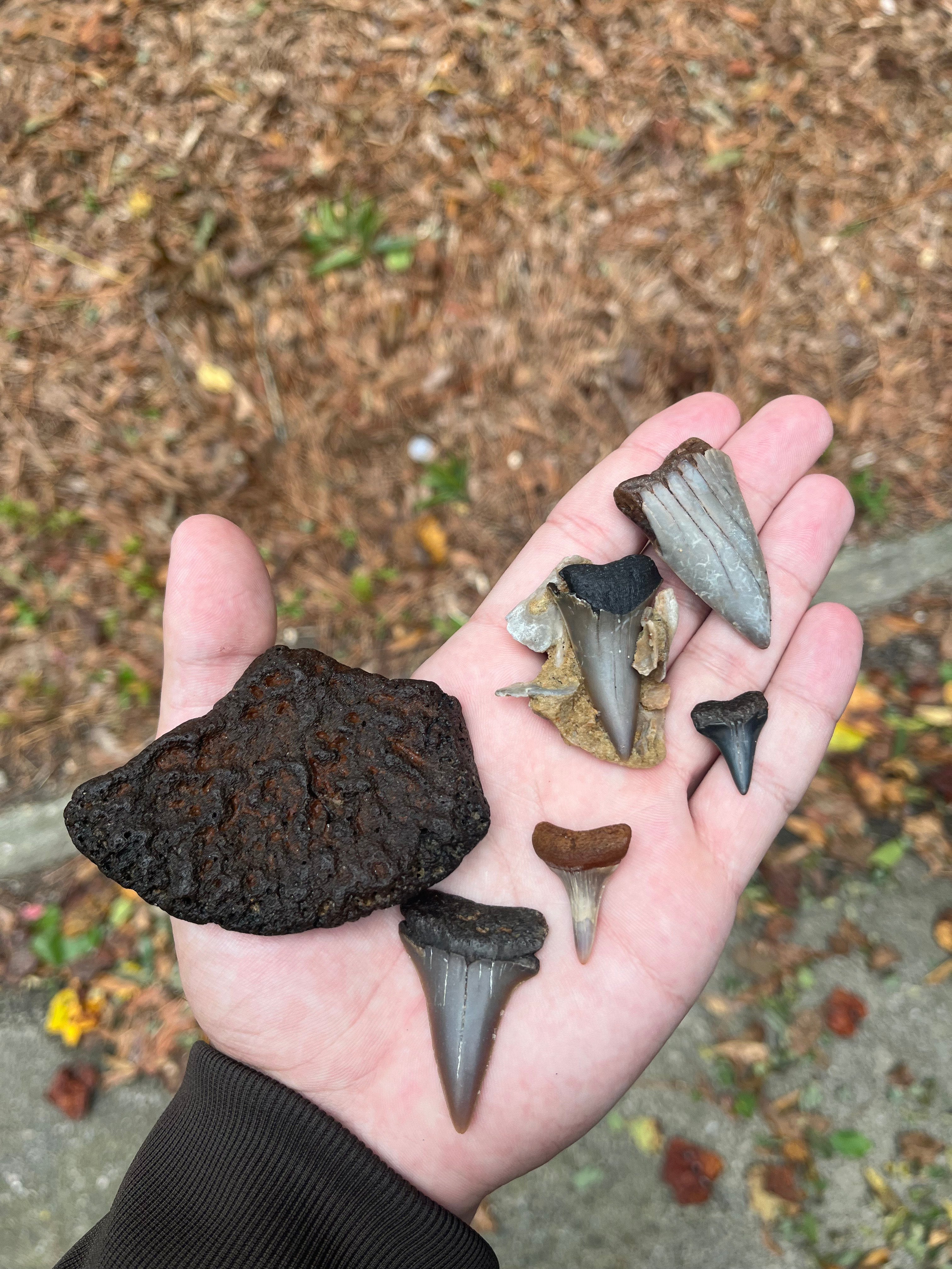 slider image 1621243260e1af0c20-0