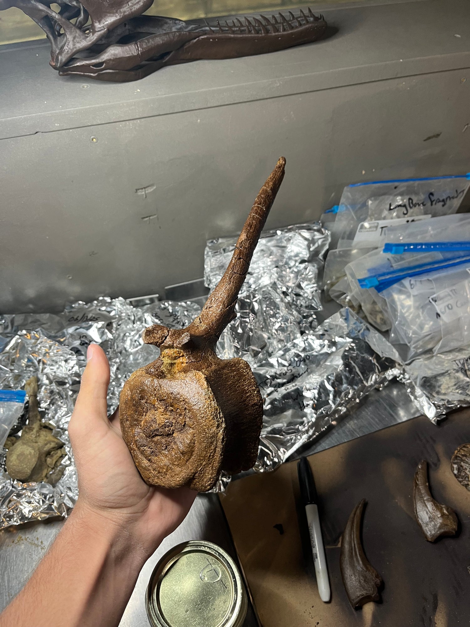 image comparison after