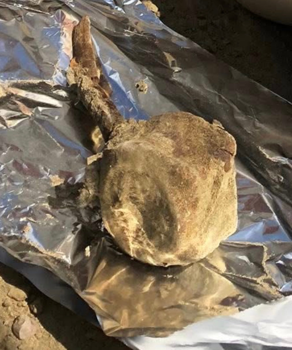 image comparison before